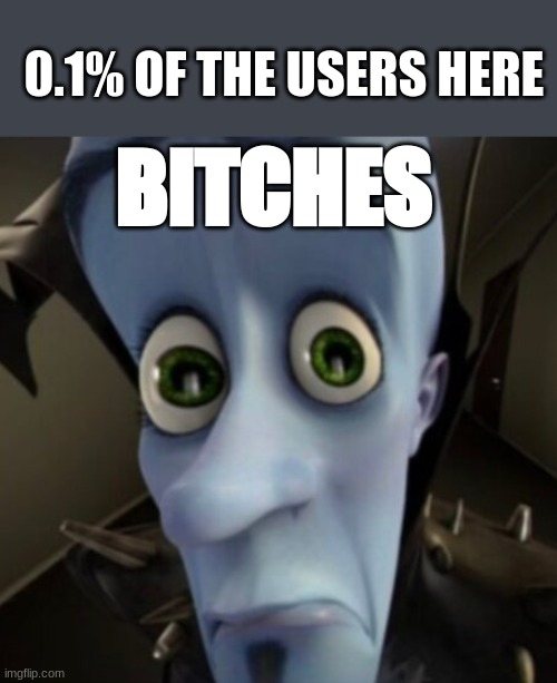No bitches? | 0.1% OF THE USERS HERE; BITCHES | image tagged in no bitches | made w/ Imgflip meme maker