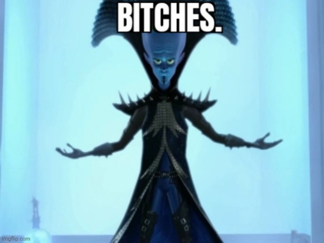 Bitches. | image tagged in bitches | made w/ Imgflip meme maker