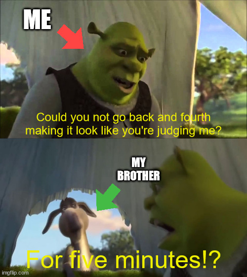 Based on a true story | ME; Could you not go back and fourth making it look like you're judging me? MY BROTHER; For five minutes!? | image tagged in shrek five minutes | made w/ Imgflip meme maker