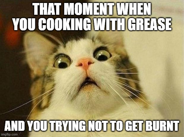 Scared Cat Meme | THAT MOMENT WHEN YOU COOKING WITH GREASE; AND YOU TRYING NOT TO GET BURNT | image tagged in memes,scared cat | made w/ Imgflip meme maker