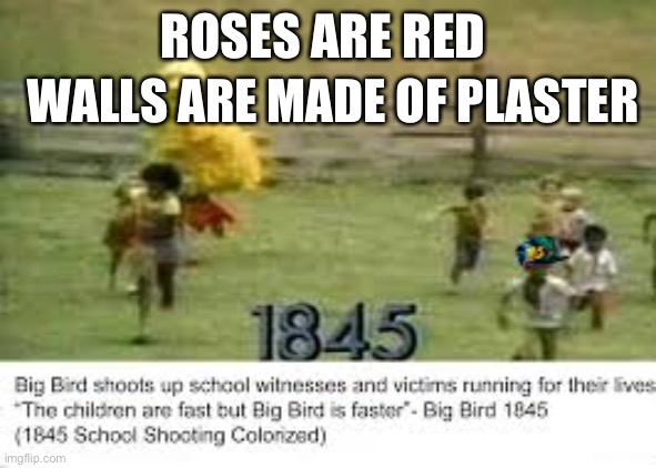 ROSES ARE RED; WALLS ARE MADE OF PLASTER | image tagged in bigbird | made w/ Imgflip meme maker
