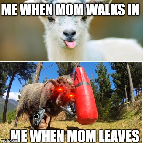 ME WHEN MOM WALKS IN; ME WHEN MOM LEAVES | image tagged in blank white template | made w/ Imgflip meme maker