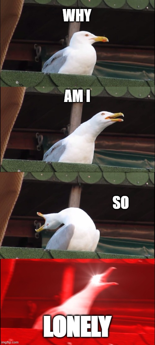 Inhaling Seagull | WHY; AM I; SO; LONELY | image tagged in memes,inhaling seagull | made w/ Imgflip meme maker