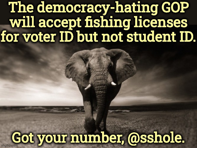 Afraid of your own kids, huh? | The democracy-hating GOP will accept fishing licenses for voter ID but not student ID. Got your number, @sshole. | image tagged in gop,republican party,hate,students,voter fraud | made w/ Imgflip meme maker