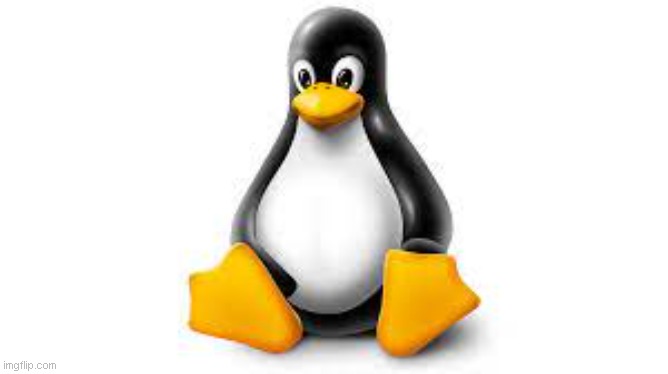 linux | image tagged in linux | made w/ Imgflip meme maker