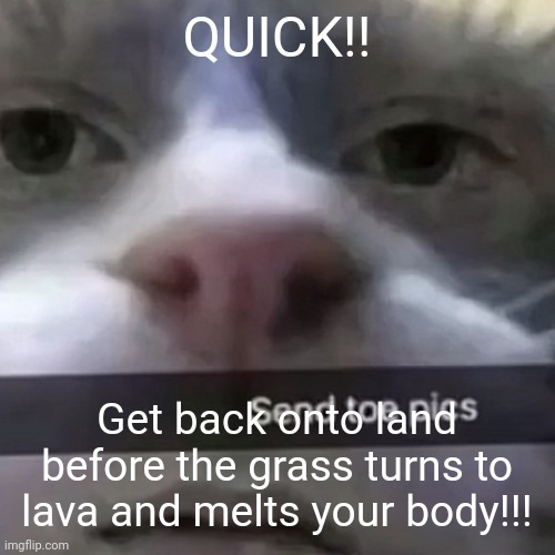 my ocd when | QUICK!! Get back onto land before the grass turns to lava and melts your body!!! | image tagged in kat | made w/ Imgflip meme maker