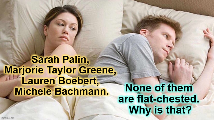 Because Republican men are drooling idiots, that's why. | Sarah Palin, 
Marjorie Taylor Greene, 
Lauren Boebert, 
Michele Bachmann. None of them 
are flat-chested. 
Why is that? | image tagged in memes,i bet he's thinking about other women,republican,men,idiots | made w/ Imgflip meme maker