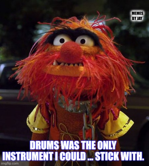 Bahaha |  MEMES BY JAY; DRUMS WAS THE ONLY INSTRUMENT I COULD ... STICK WITH. | image tagged in animal muppets,drums,dad joke | made w/ Imgflip meme maker