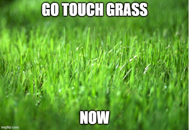 touch it | GO TOUCH GRASS; NOW | image tagged in grass is greener | made w/ Imgflip meme maker