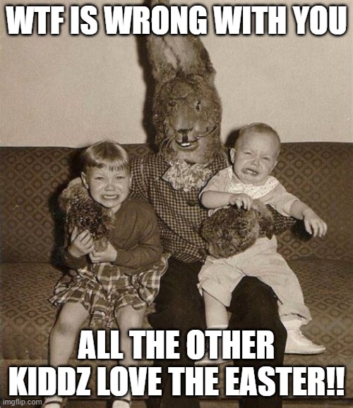 Easter Bunny | WTF IS WRONG WITH YOU; ALL THE OTHER KIDDZ LOVE THE EASTER!! | image tagged in laughter | made w/ Imgflip meme maker