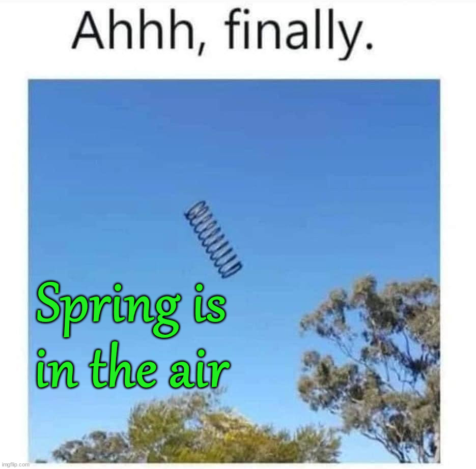 Spring is in the air | image tagged in eye roll | made w/ Imgflip meme maker