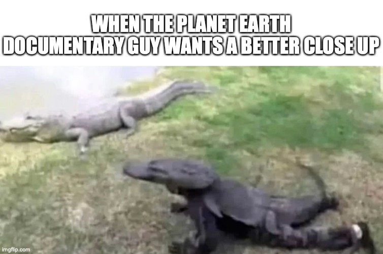 Dont die! | WHEN THE PLANET EARTH DOCUMENTARY GUY WANTS A BETTER CLOSE UP | image tagged in funny,memes,planet earth,fun | made w/ Imgflip meme maker