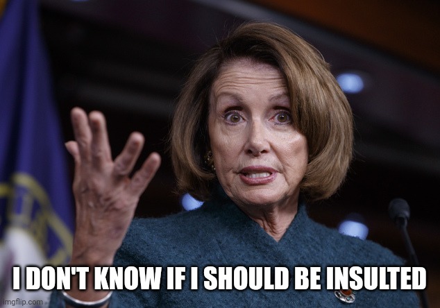 Good old Nancy Pelosi | I DON'T KNOW IF I SHOULD BE INSULTED | image tagged in good old nancy pelosi | made w/ Imgflip meme maker