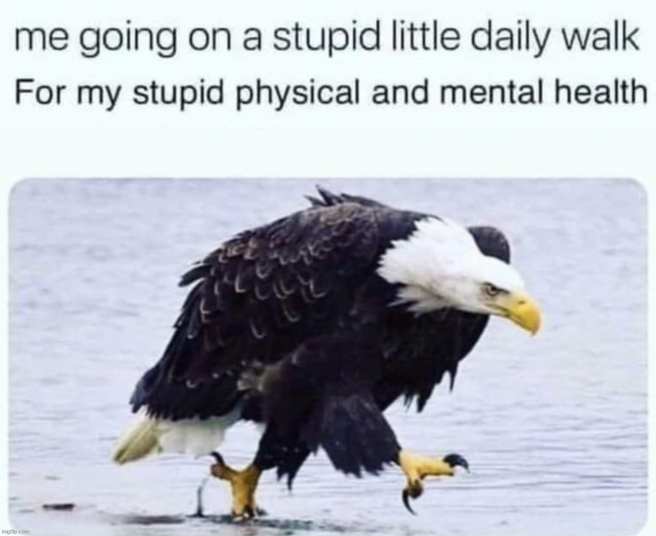 It does help to walk | image tagged in walking eagle | made w/ Imgflip meme maker