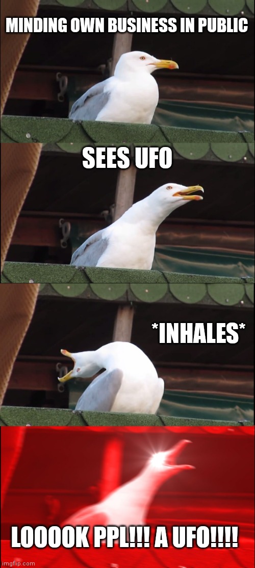 YAKAKAKSJHDHH | MINDING OWN BUSINESS IN PUBLIC; SEES UFO; *INHALES*; LOOOOK PPL!!! A UFO!!!! | image tagged in memes,inhaling seagull | made w/ Imgflip meme maker