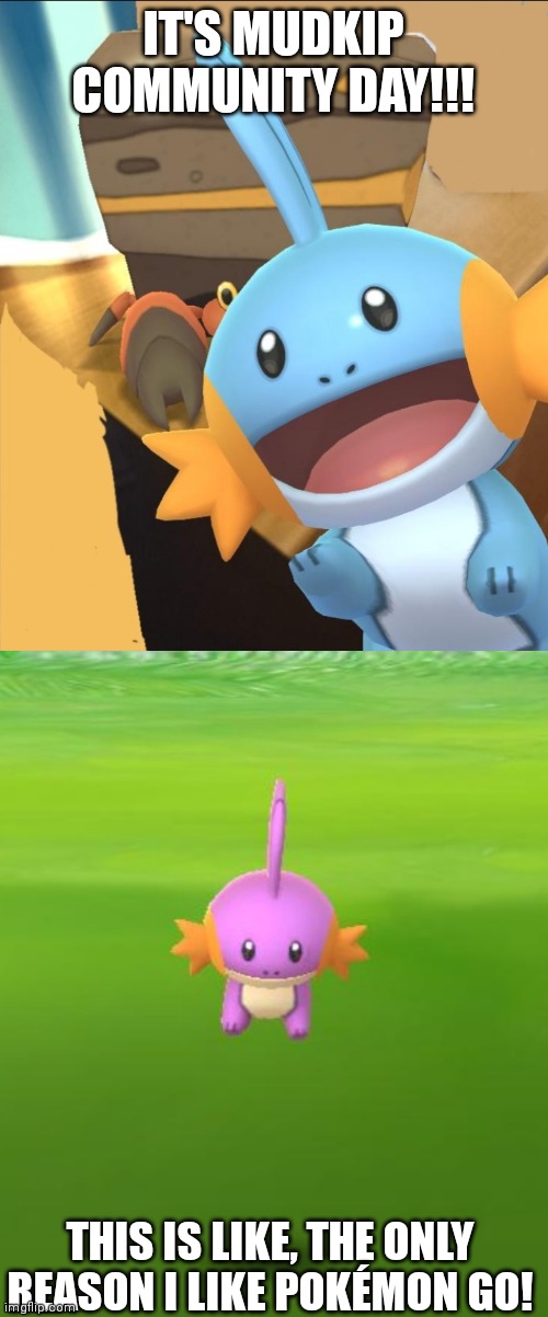 Mudkip Day! | IT'S MUDKIP COMMUNITY DAY!!! THIS IS LIKE, THE ONLY REASON I LIKE POKÉMON GO! | image tagged in mudkip,pokemon go,pokemon,pokemon appears | made w/ Imgflip meme maker