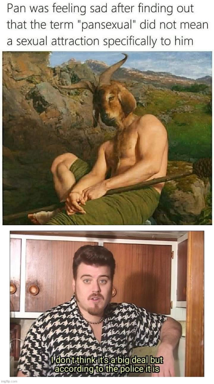 It's not what you think it means. | image tagged in trailer park boys ricky - i dont think its a big deal,i don't think it means what you think it means | made w/ Imgflip meme maker