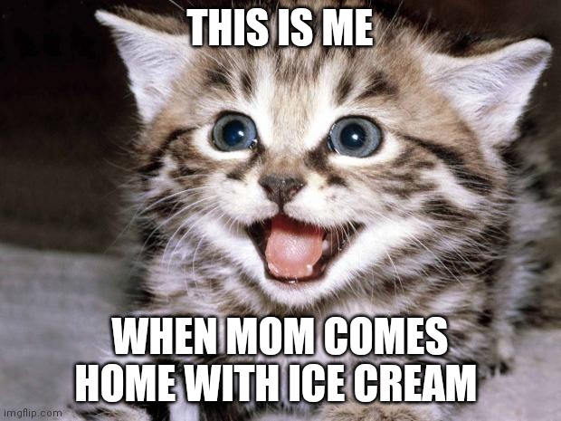 Ice cream excited cat | THIS IS ME; WHEN MOM COMES HOME WITH ICE CREAM | image tagged in uber cute cat | made w/ Imgflip meme maker