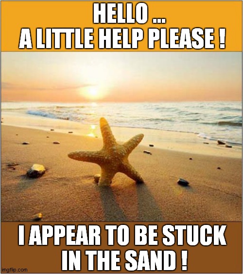 Starfish Woes ! | HELLO ...
A LITTLE HELP PLEASE ! I APPEAR TO BE STUCK
 IN THE SAND ! | image tagged in fun,starfish,stuck,sand,beach | made w/ Imgflip meme maker