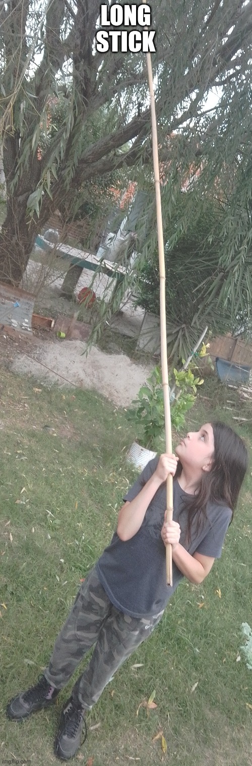 LONG STICK | made w/ Imgflip meme maker