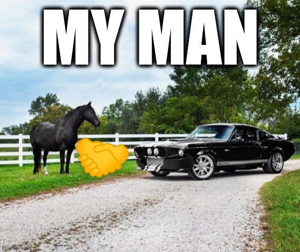 Two Mustangs meet | MY MAN | image tagged in cars,horse,hello | made w/ Imgflip meme maker
