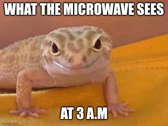 Lol | WHAT THE MICROWAVE SEES; AT 3 A.M | image tagged in gecko | made w/ Imgflip meme maker