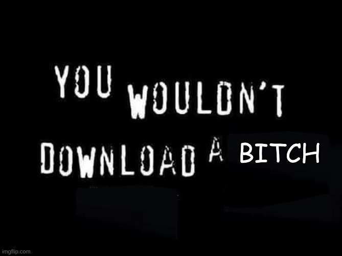 @everyone saying no bitches | BITCH | image tagged in you wouldnt download a | made w/ Imgflip meme maker