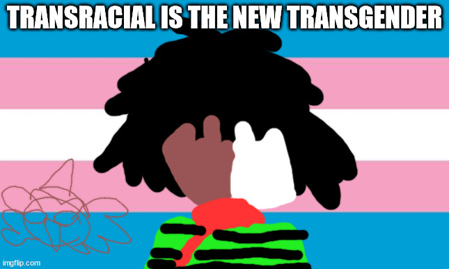 Transgender Flag | TRANSRACIAL IS THE NEW TRANSGENDER | image tagged in transgender flag | made w/ Imgflip meme maker