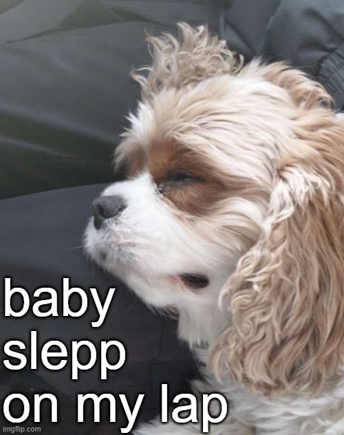 cute mf | baby slepp on my lap | made w/ Imgflip meme maker