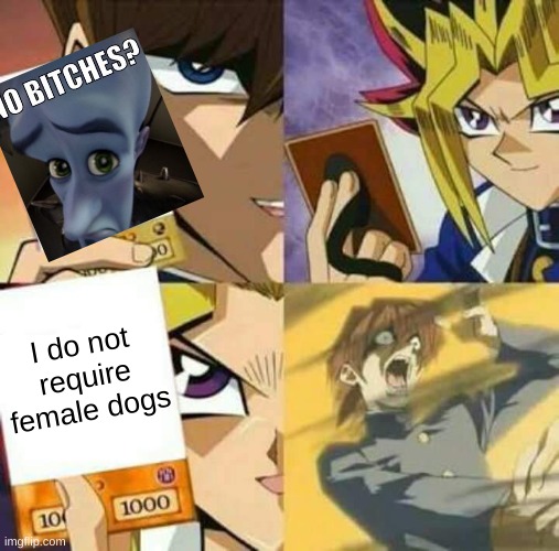 Yu Gi Oh | I do not require female dogs | image tagged in yu gi oh,memes,funny | made w/ Imgflip meme maker