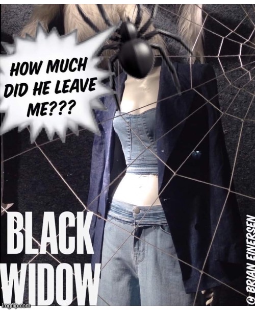 Black Widow | image tagged in fashion,window design,bergdorf goodman,black widow,brian einersen | made w/ Imgflip meme maker