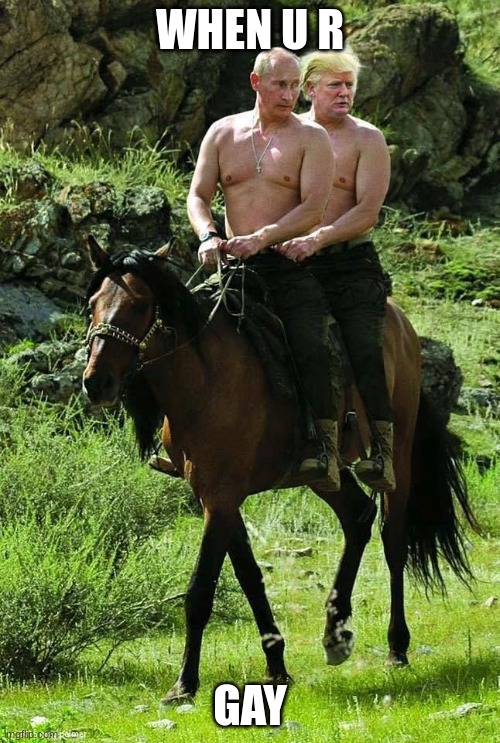 Trump Putin | WHEN U R; GAY | image tagged in trump putin | made w/ Imgflip meme maker