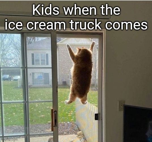 _____ | Kids when the ice cream truck comes | image tagged in cat,hanging,fun,funny,memes | made w/ Imgflip meme maker