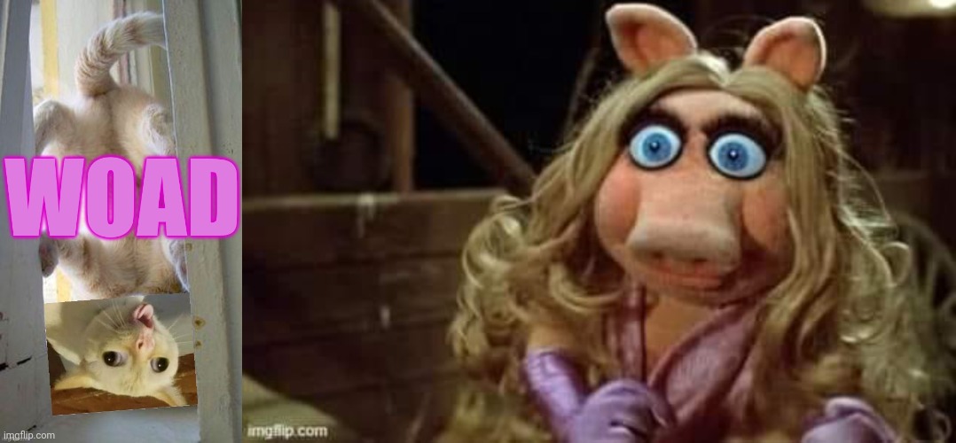 image tagged in woad,miss piggy shocked | made w/ Imgflip meme maker