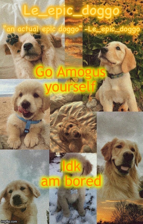 Doggo temp by doggo. Wait what that’s confusing | Go Amogus yourself; Idk am bored | image tagged in doggo temp by doggo wait what that s confusing | made w/ Imgflip meme maker