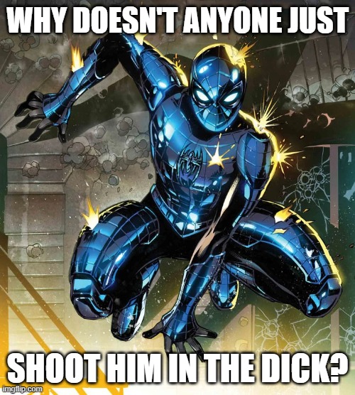 I mean he's not covering it, I'm guessing people just have bad aim xD | WHY DOESN'T ANYONE JUST; SHOOT HIM IN THE DICK? | image tagged in spiderman,memes,funny,superheroes,armor | made w/ Imgflip meme maker