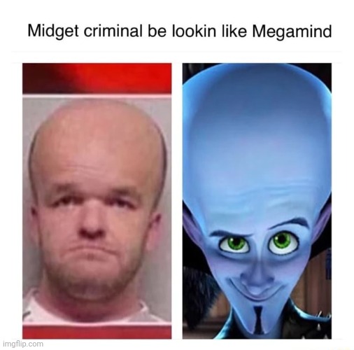 Meganind | image tagged in megamind cosplay | made w/ Imgflip meme maker