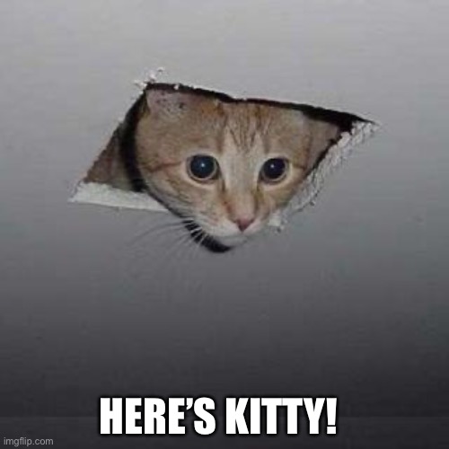 Here’s Kitty (Here’s Johnny | HERE’S KITTY! | image tagged in memes,ceiling cat,heres johnny,funny cats,heres kitty | made w/ Imgflip meme maker