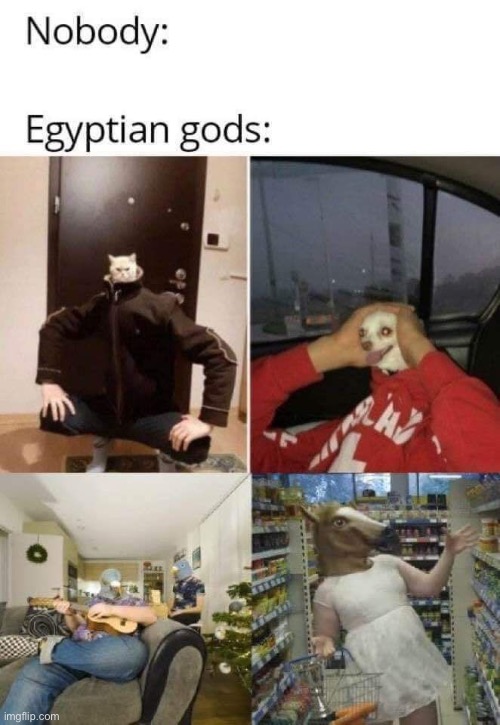 image tagged in historical meme,gods of egypt,history,history memes | made w/ Imgflip meme maker