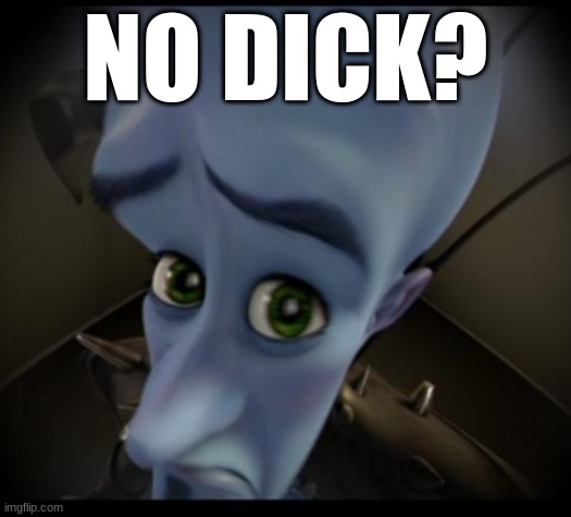 Megamind peeking | NO DICK? | image tagged in no bitches | made w/ Imgflip meme maker