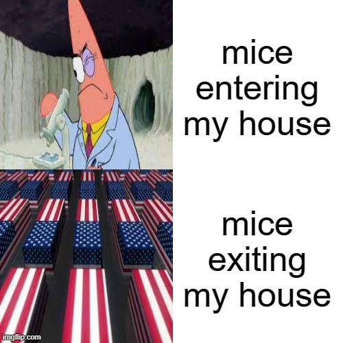 tbh im bored rn | mice entering my house; mice exiting my house | image tagged in meme,dark humor,mice,death | made w/ Imgflip meme maker