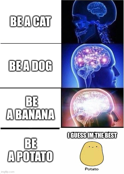 potato for life ( what will you be?) | BE A CAT; BE A DOG; BE A BANANA; I GUESS IM THE BEST; BE A POTATO | image tagged in memes,expanding brain | made w/ Imgflip meme maker