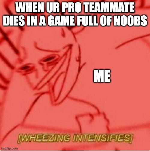 Wheeze | WHEN UR PRO TEAMMATE DIES IN A GAME FULL OF NOOBS; ME | image tagged in wheeze | made w/ Imgflip meme maker