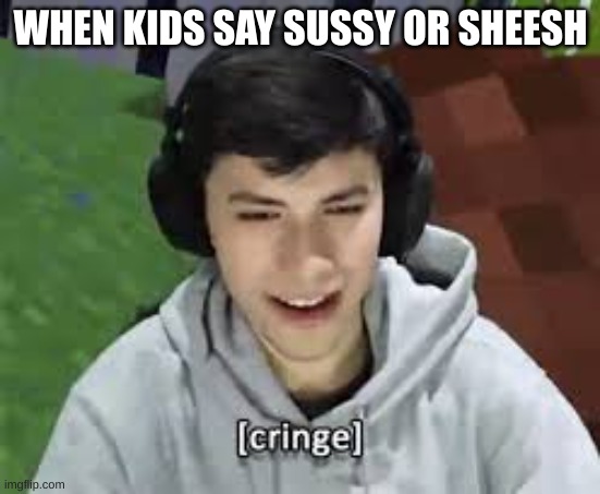 george | WHEN KIDS SAY SUSSY OR SHEESH | image tagged in dream smp,dream,georgenotfound,cringe | made w/ Imgflip meme maker