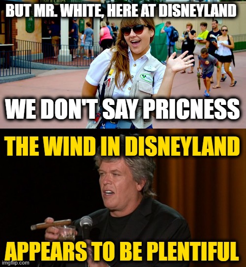 BUT MR. WHITE, HERE AT DISNEYLAND WE DON'T SAY PRICNESS THE WIND IN DISNEYLAND APPEARS TO BE PLENTIFUL | image tagged in ron white | made w/ Imgflip meme maker