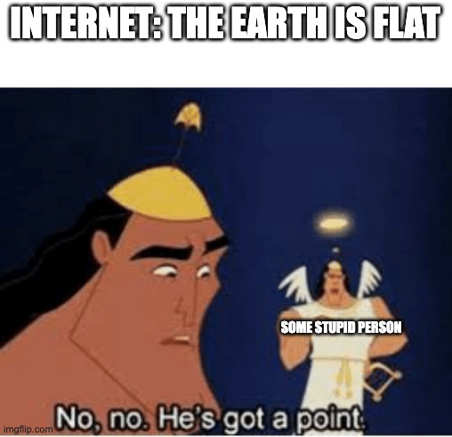 No, no. He's got a point | INTERNET: THE EARTH IS FLAT; SOME STUPID PERSON | image tagged in no no he's got a point | made w/ Imgflip meme maker