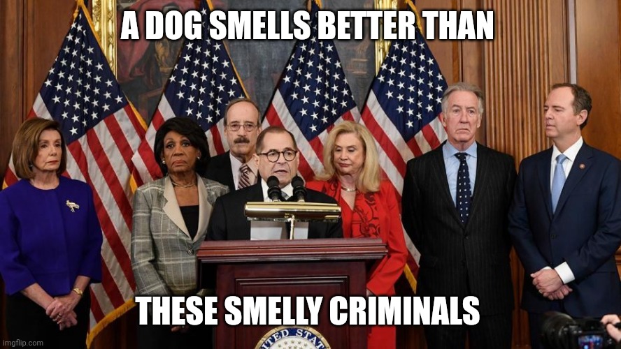 House Democrats | A DOG SMELLS BETTER THAN THESE SMELLY CRIMINALS | image tagged in house democrats | made w/ Imgflip meme maker
