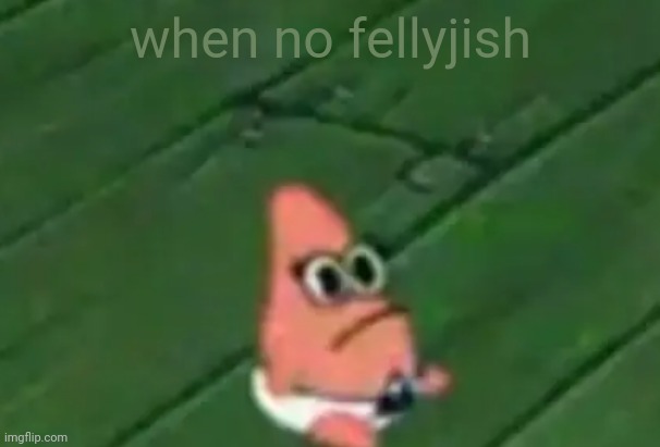when no fellyjish | made w/ Imgflip meme maker