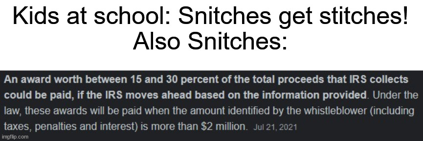 snitches get paid | Kids at school: Snitches get stitches!
Also Snitches: | image tagged in snitch | made w/ Imgflip meme maker