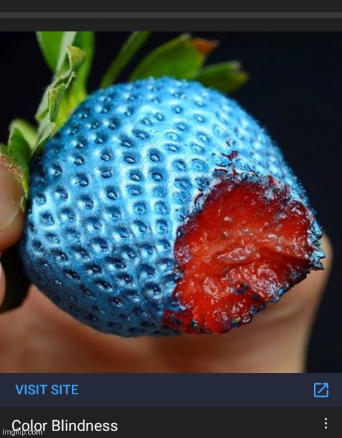 blueberry | made w/ Imgflip meme maker